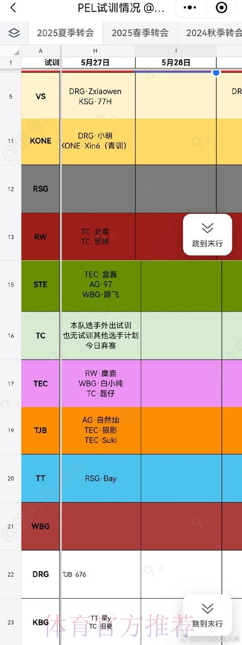 深圳STE人员变动公告：原TJB.野猫正式加入STE